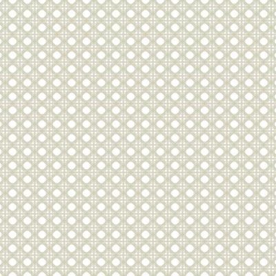 Papel pintado estilo dibujo pequeño color beige Rattan Overlay Lattice CY1522