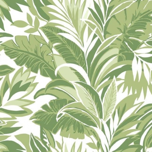 Papel pintado estilo tropical con tonos verdes sobre fondo blanco Palm Silhouette CY1565
