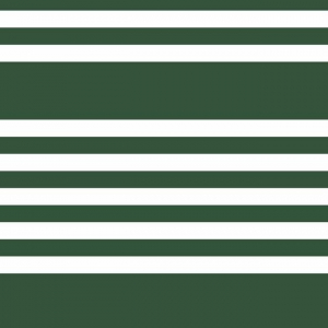 Papel pintado de estilo rayas en color verde-blanco Wide Scholarship SR1618