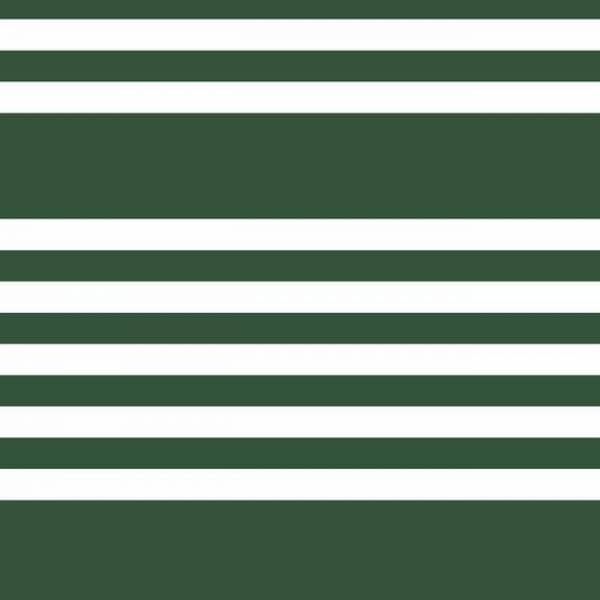 Papel pintado de estilo rayas en color verde-blanco Wide Scholarship SR1618