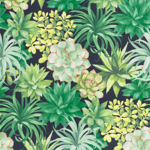 Papel pintado estilo floral estampado en tonos verdes Echeveria 85917396