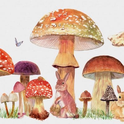 Mural de papel pintado infantil en multicolor Sweet Forest 9700010
