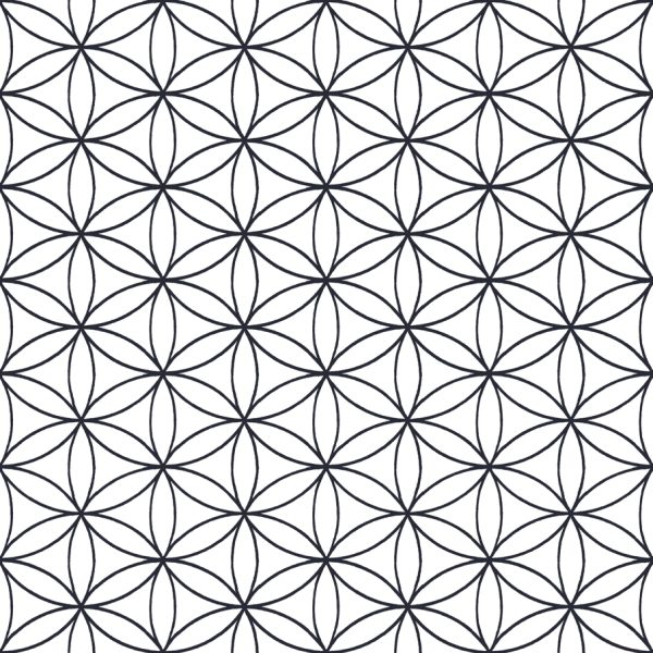 Papel pintado geométrico en color blanco y negro Amazzonia 22051