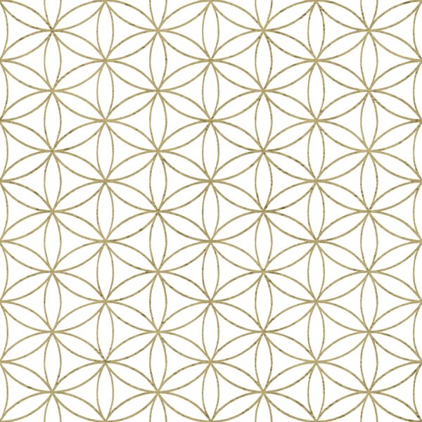 Papel pintado geométrico en color marrón Amazzonia 22052