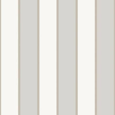 Papel pintado de rayas color gris y blanco Amazzonia 22061