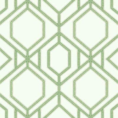 Papel pintado de trellis en color verde Sawgrass Trellis TC2631