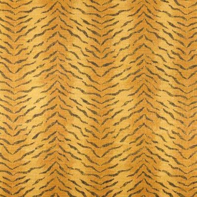 Estilo print animal
