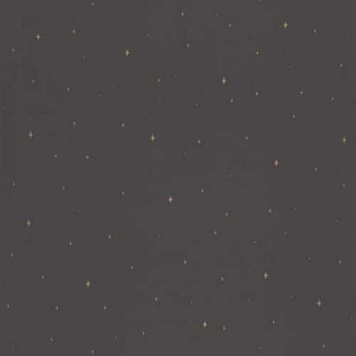 Papel pintado de estrellas en color negro Under the Stars 102969983