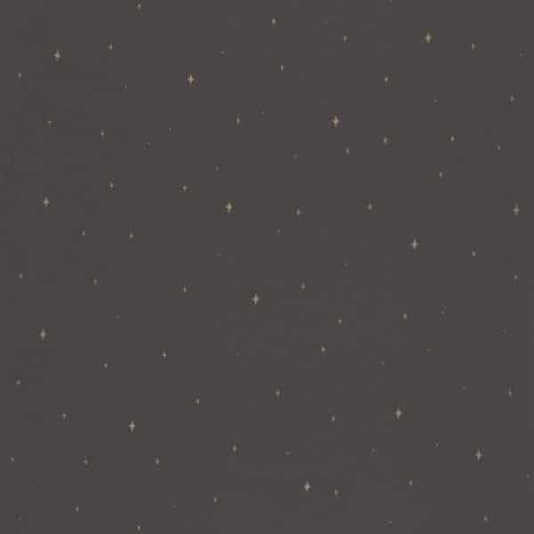 Papel pintado de estrellas en color negro Under the Stars 102969983