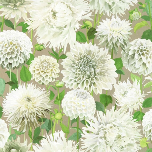 Papel pintado de flores en color verde Dahlia HQN2112844