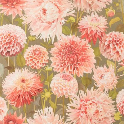 Papel pintado de flores en color naranja Dahlia HQN2112845