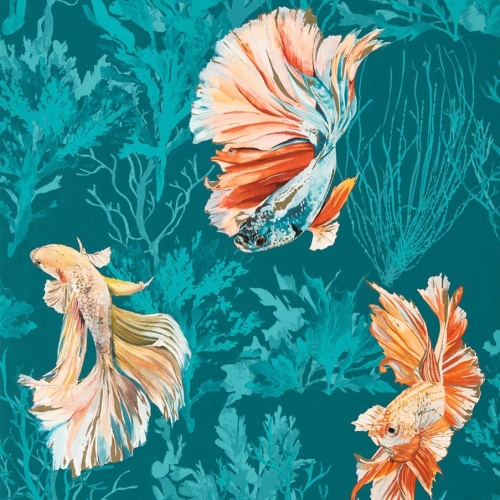 Papel pintado de peces en color turquesa y naranja Halfmoon HTEW112767