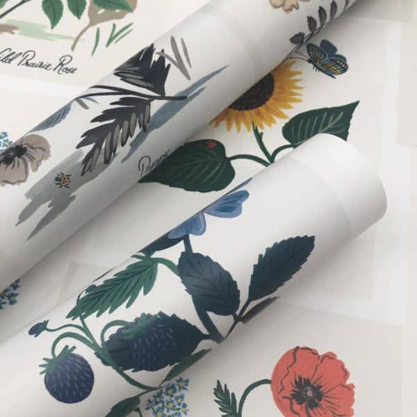 Papel pintado office multicolor Botanical Prints RP7334 - Imagen 5
