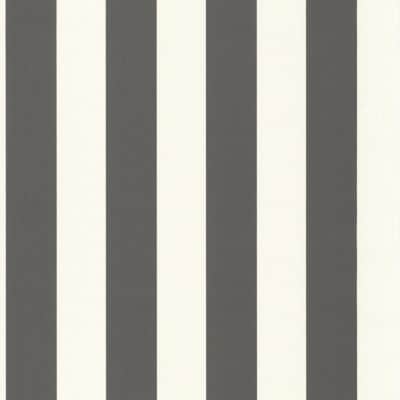 Papel pintado de rayas en color negro y blanco Baltic Rayure 29259984