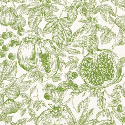 Papel pintado de frutas en color verde Melograno HQN3112923