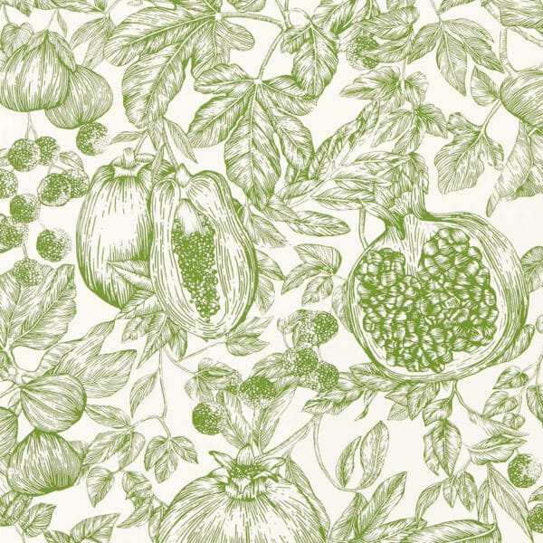 Papel pintado de frutas en color verde Melograno HQN3112923