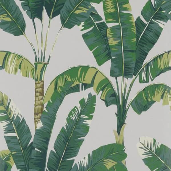 Papel pintado tropical en color verde Palmaria W7210-03