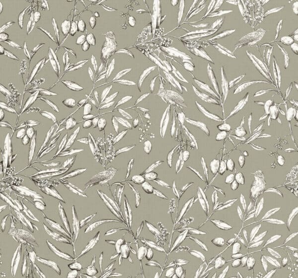 Papel pintado bicolor Aceituna Silvestre-Verde claro A00502