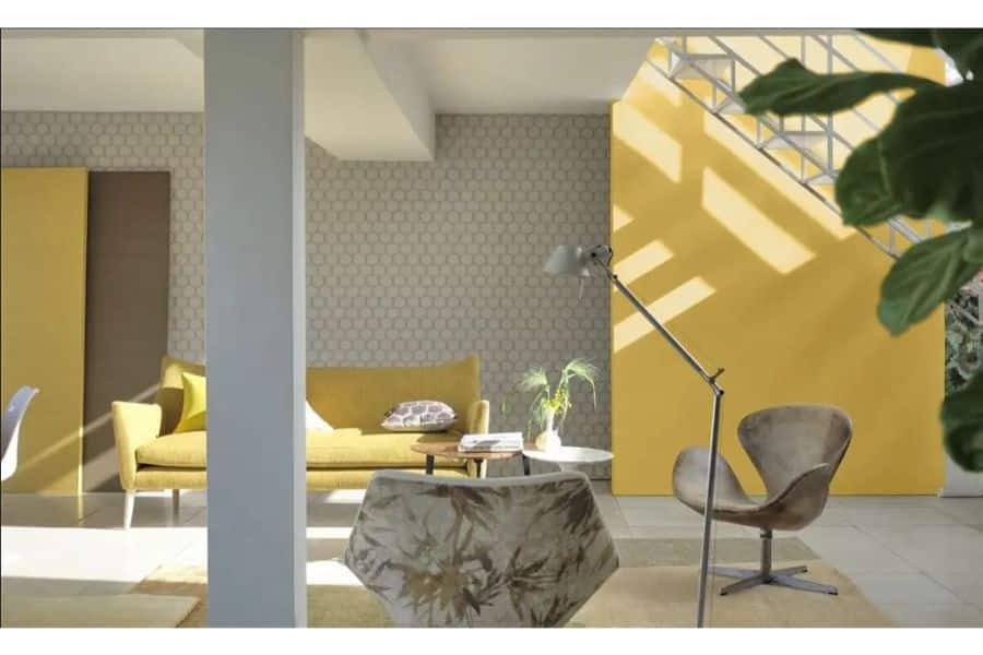 Toral Decoración