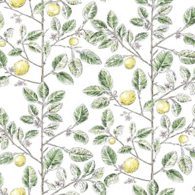 Papel pintado de frutas en color verde Limoncello Toile RT7911