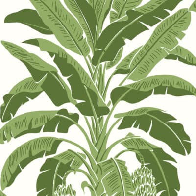 Papel pintado tropical en color verde Banana Green T13914