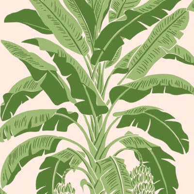 Papel pintado tropical en color verde Banana Pink and Green T13917