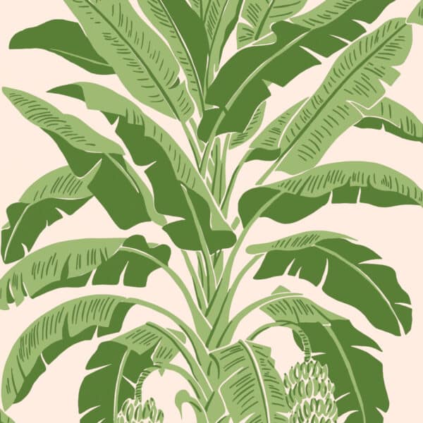 Papel pintado tropical en color verde Banana Pink and Green T13917