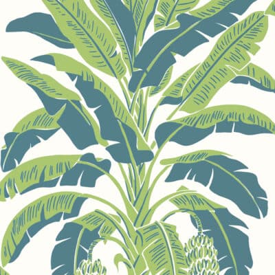 Papel pintado tropical en color verde Banana Green and Blue T13918
