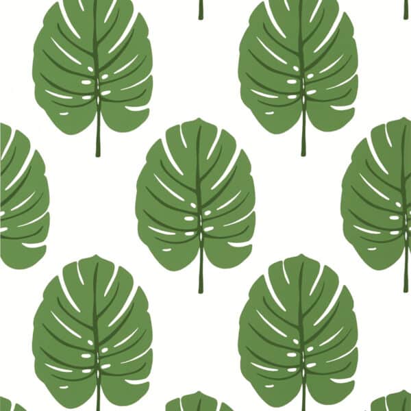 Papel pintado de hojas en color verde Monstera Green T13952