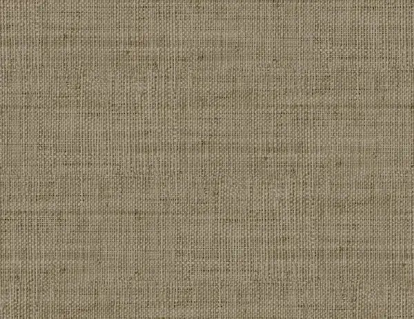 Papel pintado de símil fibras naturales en gris beige Savannah Grass IX LS61117