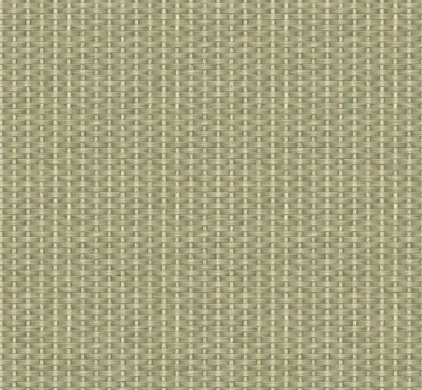 Papel pintado de fibra natural en color verde Kuba Raffia Leaves B00445