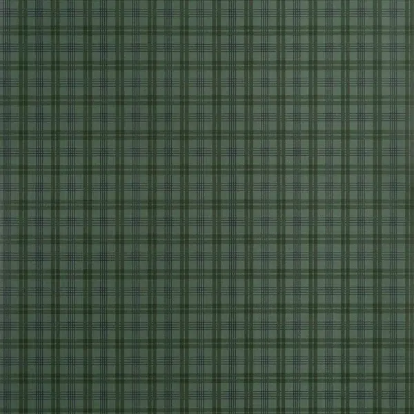 Papel pintado de cuadros en color verde Huntley Plaid T44052