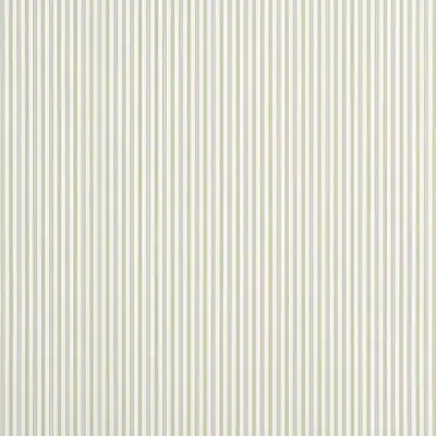Papel pintado de rayas en color verde Conner Stripe T44066