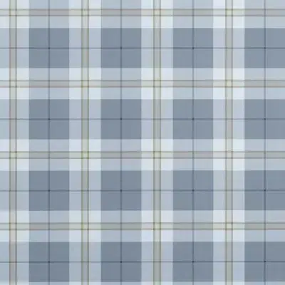 Papel pintado de cuadros en color azul Douglas Plaid T44069