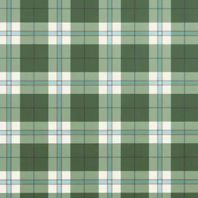 Papel pintado de cuadros en color verde Douglas Plaid T44071