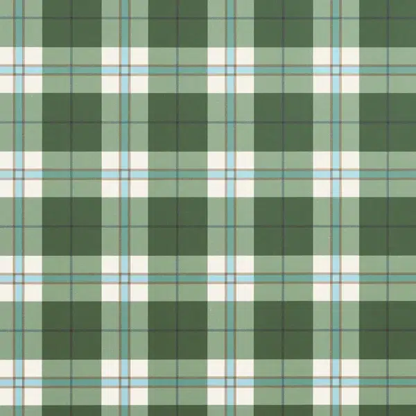 Papel pintado de cuadros en color verde Douglas Plaid T44071