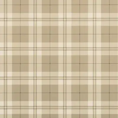 Papel pintado de cuadros en color marrón Douglas Plaid T44073