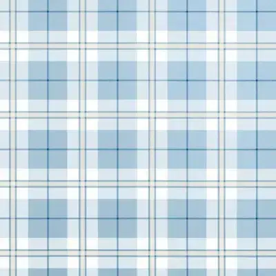 Papel pintado de cuadros en color azul Douglas Plaid T44075