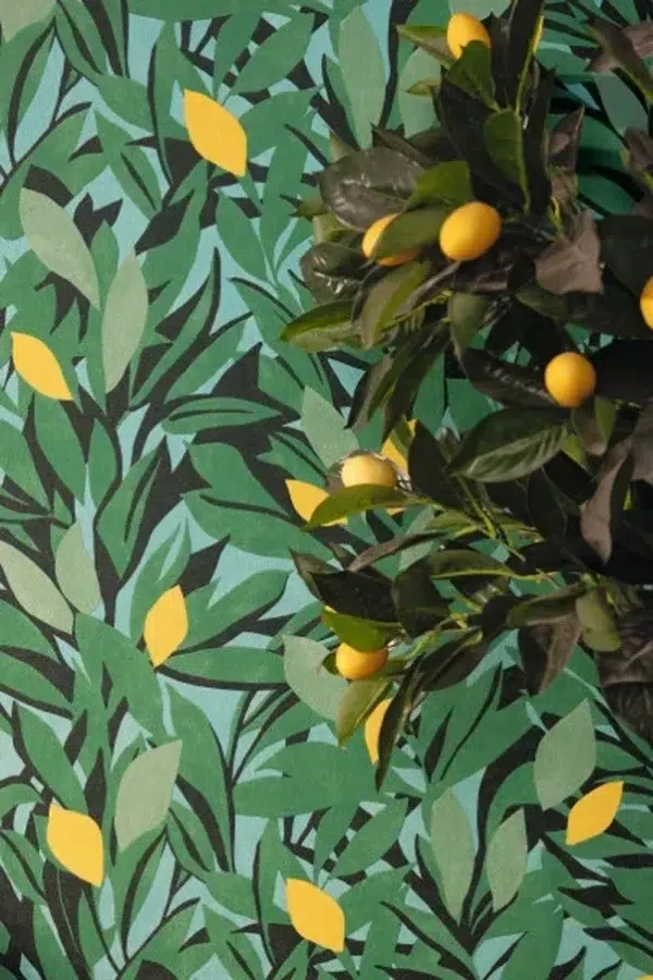 Papel pintado de frutas en color verde Cassis 105457720 - Imagen 3