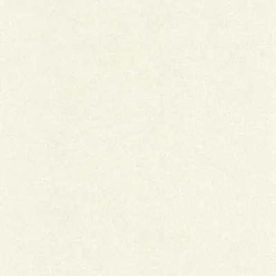 Papel pintado de Falso Liso en color blanco Empreinte 88700012