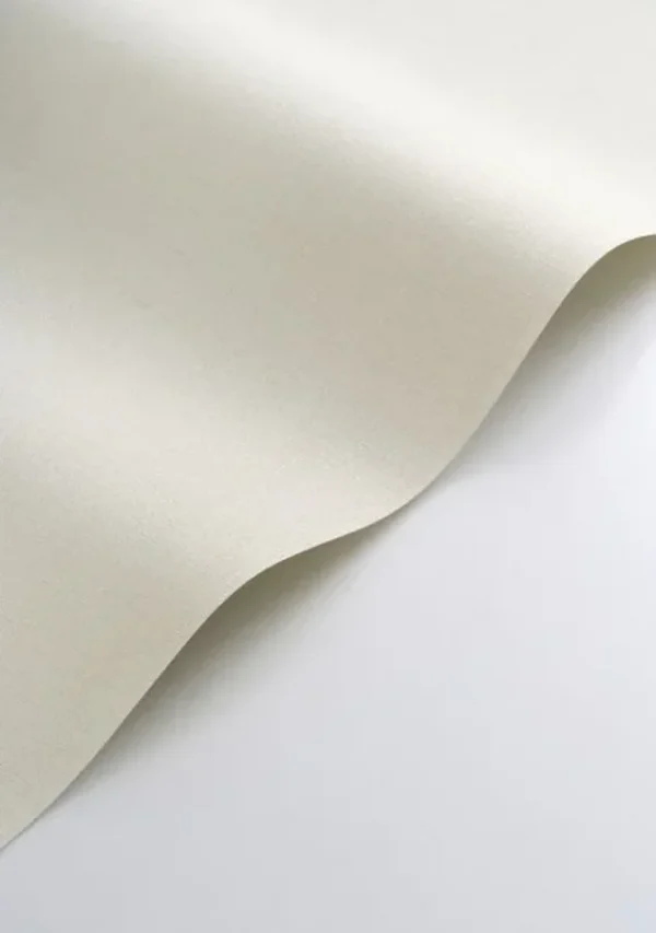Papel pintado liso en color blanco Caractere 201171010 - Imagen 3
