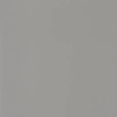 Papel pintado liso en color gris Smile Uni 69869528
