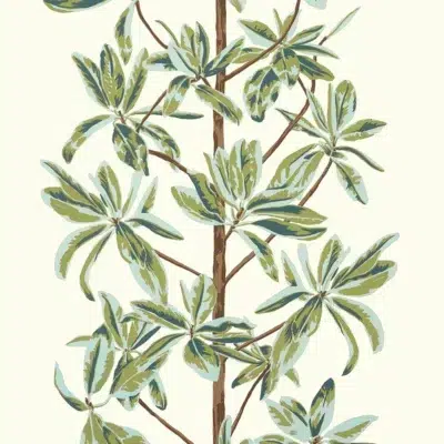 Papel pintado de hojas en color verde Mangrove Tree T45034
