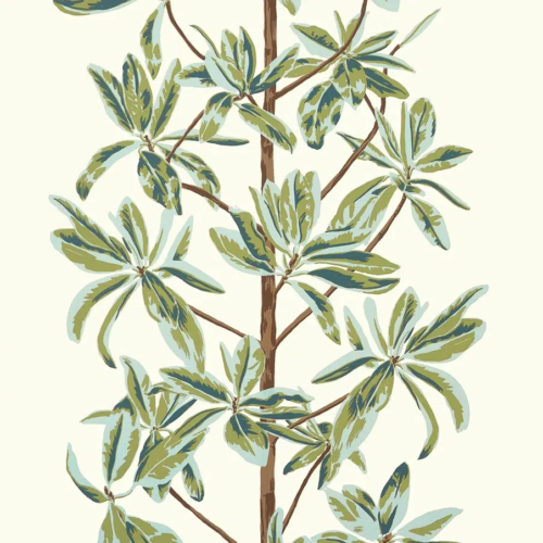 Papel pintado de hojas en color verde Mangrove Tree T45034