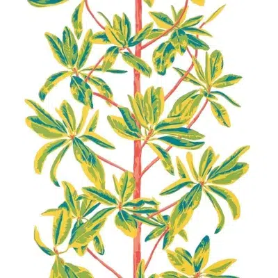 Papel pintado de hojas en color rojo Mangrove Tree T45036