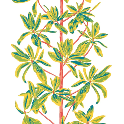 Papel pintado de hojas en color rojo Mangrove Tree T45036