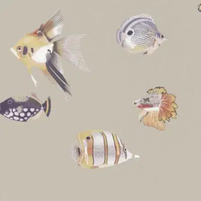 Papel pintado de peces en color beige Kamanu Wide Width HANZ111647