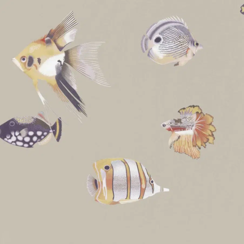 Papel pintado de peces en color beige Kamanu Wide Width HANZ111647