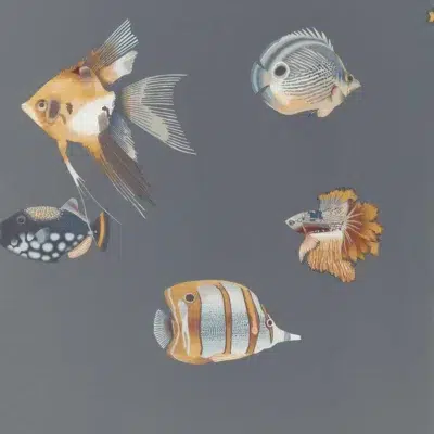 Papel pintado de peces en color gris Kamanu Wide Width HANZ111648