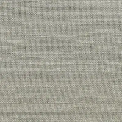 Tela lisa color gris Monterrey 03